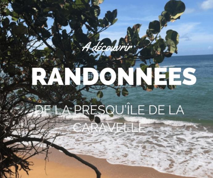 Ananas Premium - Sejour Detente T2 Vue Mer Avec Balcon Prive A Tartane La Trinité Kültér fotó